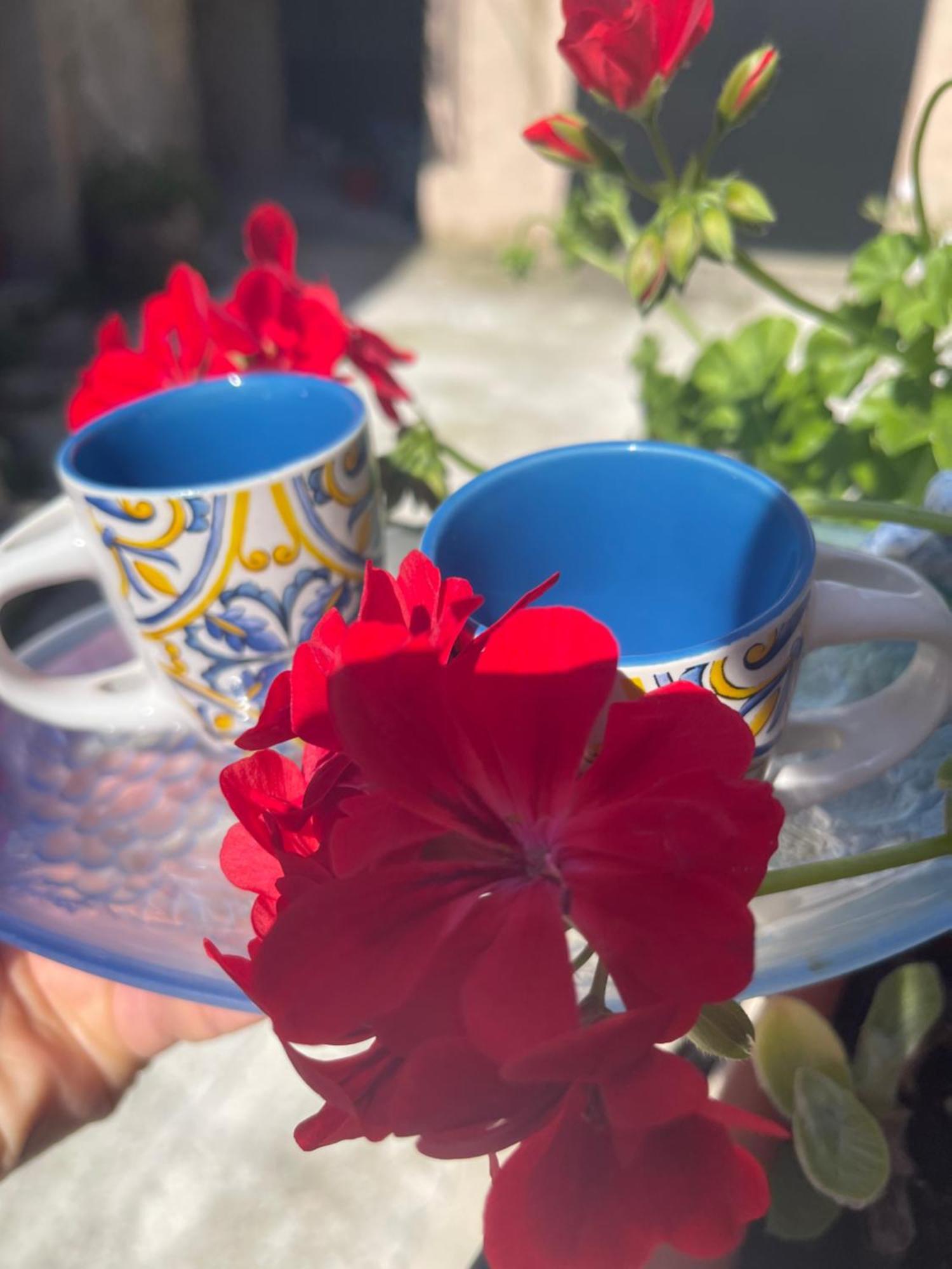 La Rosa Blu Bed & Breakfast Джераче Екстериор снимка